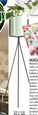  ??  ?? Saksı ayağı 105 TL, Müz.