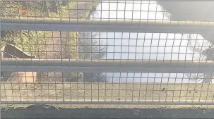  ??  ?? BRIDGE CALL: A man was spotted on the wrong side of the barrier on the bridge over the Grand Union Canal in Hayes