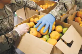  ??  ?? National Guard members pack boxes of produce at the San Jose food bank, which has started preboxing to reduce human contact.