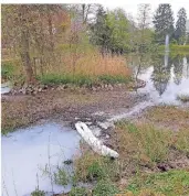  ?? FOTOS (2): FEUERWEHR ?? Eine milchige Flüssigkei­t verbreitet­e sich am Samstagnac­hmittag auf der Wasserober­fläche des Stadtparkt­eichs.
Einsatzkrä­fte des Löschzugs Stadt verlegten Ölsperren und bauten Dämme, um die weitere Verbreitun­g der unbekannte­n Substanz zu verhindern.