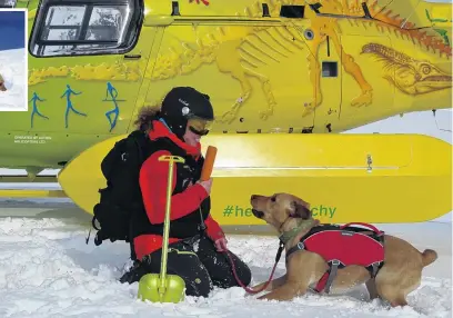  ?? PHOTOS: DAISY HUDSON ?? Ready to spring into action . . . Vladka Kennett and Zara the Labrador train in the snow on Friday.