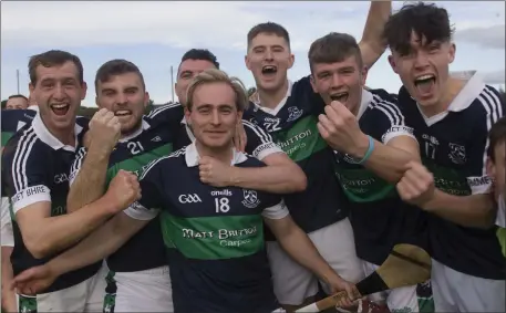  ??  ?? Pure joy for these Bray Emmets hurlers after they had clinched the Senior hurling crown for 2019.