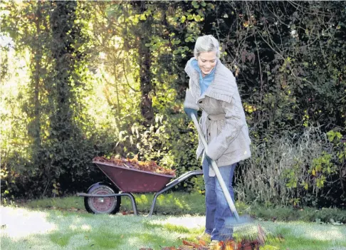  ??  ?? Rhondda Cynon Taf Council collected 1,047 tonnes of garden waste in June