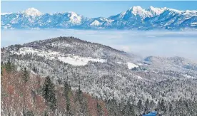  ?? ?? Pogled na Storžič in Kamniško-Savinjske Alpe