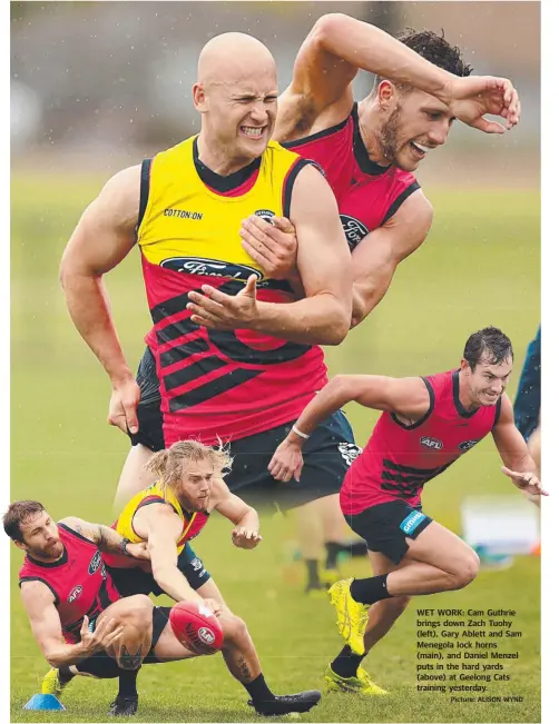  ?? Picture: ALISON WYND ?? WET WORK: Cam Guthrie brings down Zach Tuohy (left), Gary Ablett and Sam Menegola lock horns (main), and Daniel Menzel puts in the hard yards (above) at Geelong Cats training yesterday.