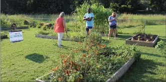  ?? MEDIANEWS GROUP FILE PHOTO ?? Below: Community members look at the growing plots of the Barth community garden in Pottstown.