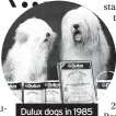  ?? ?? Dulux dogs in 1985