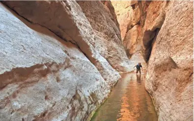  ?? DAVID WALLACE/THE REPUBLIC ?? Eric Luth hikes a side canyon at Grand Canyon National Park in April. Spending time in nature improves mental health, scientists have found.