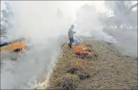  ?? AFP PHOTO ?? A farmer burns paddy stubble in a field on the outskirts of Jalandhar, Punjab, on Friday.