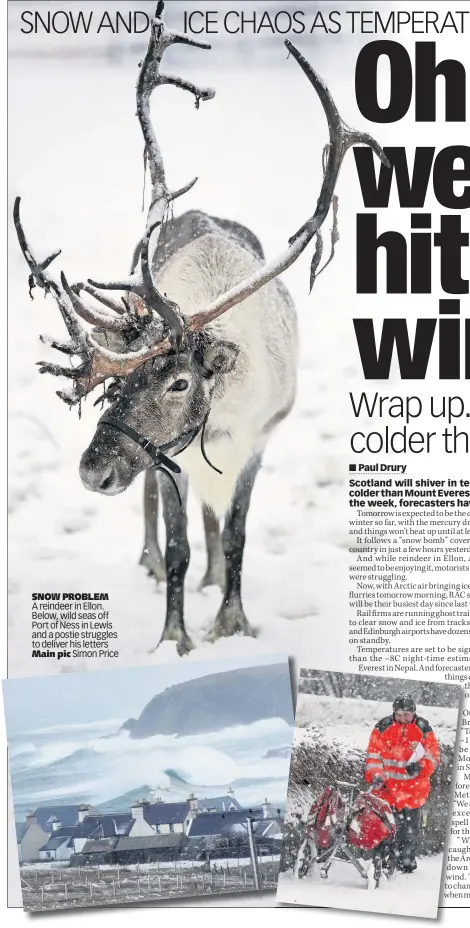  ??  ?? SNOW PROBLEM A reindeer in Ellon. Below, wild seas off Port of Ness in Lewis and a postie struggles to deliver his letters Main pic Simon Price