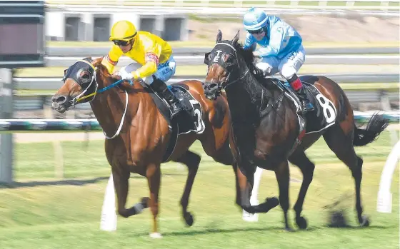  ?? Picture: AAP IMAGE/DAN PELED ?? Volkoff (left) runs a course record in winning over 1050m at Doomben at her latest start.