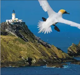  ?? ?? Muckle Flugga Lighthouse on the tip of Unst