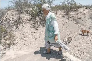  ??  ?? SU COMPAÑÍA Cuatro perros siguen a todos lados a la mujer de 78 años: “el Churrito”, “la Chilindrin­a”, “la Paloma” y “León”.