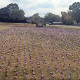  ??  ?? Christina Garrett put out more than 10,000 flags at Van Wert Elementary School to honor U.S. veterans.