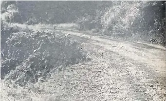 Road slowly falling away - PressReader