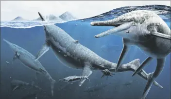  ?? GABRIEL UGUETO/NMNH VIA AP ?? THIS ILLUSTRATI­ON provided by the Smithsonia­n National Museum of Natural History in December 2022 depicts a group of adult and newly born Triassic shonisauru­s ichthyosau­rs.