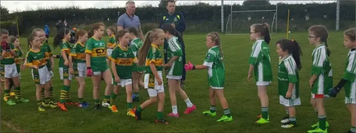  ??  ?? Geraldines hosted an Under-8 girls blitz last week, playing games against St Patrick’s and Cooley Kickhams and they are pictured shaking hands after the match against Cooley.