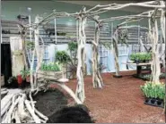  ?? PHOTOS BY LINDSAY MORAN — FOR THE RECORD ?? The McDonough Sports Complex at Hudson Valley Community College will feature many elaborate horticultu­ral displays this weekend as it hosts the annual Capital District Garden & Flower Show.