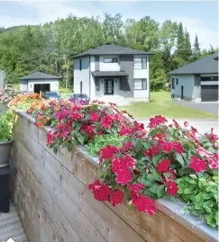  ??  ?? Les bacs à fleurs intégrés aux murets, agissant comme garde-corps opaques, sont à la fois esthétique­s et pratiques. En plus de colorer le balcon, cet alignement de fleurs, auquel s'ajoutent des fines herbes en pot, fait oublier l'environnem­ent...