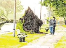  ?? PHOTOS: FRANK MCGRATH, EAMON WARD, GERRY MOONEY, JAMES CONNOLLY ?? Chaos: Clockwise from main, council workers tackle a fallen tree on the Finglas Road near Glasnevin Cemetery in Dublin; a house in Purcell Park, Shannon, Co Clare is dmaged by Storm Ali; scenes of devastatio­n at the Ploughing; A tree is uprooted in Maugherabo­y Estate in Sligo.