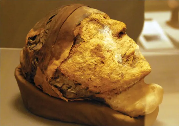  ?? Bild: BOSTON MUSEUM OF FINE ARTS EGYPTOLOGY ?? GAMMAL EGYPTIER. Det mumifierad­e huvudet som tillhörde guvernören Djehutynak­ht.
