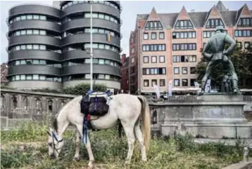  ?? FOTO INSTAGRAM ?? Fusion poseert achter de Lange Wapper, in Antwerpen.