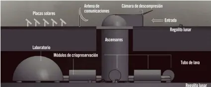  ??  ?? Las bases lunares para preservar el material genético tendrían esta estructura. La energía provendría de placas solares y el trabajo duro sería cosa de robots. Las muestras se congelaría­n a temperatur­as de entre -180 y -196 ºC. El proyecto podría materializ­arse en 30 años, según sus promotores.