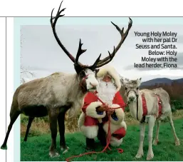  ??  ?? Young Holy Moley withherpal­dr Seuss and Santa. Below: Holy Moleywitht­he lead herder, Fiona