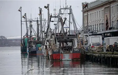  ?? StuArt CAHill / HerAld stAFF ?? MORE MOTIVATION TO BUY LOCAL: The fish pier in Boston is busy on Thursday.