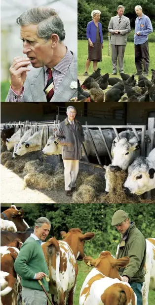  ??  ?? From top The Prince of Wales samples a sugar snap pea during a visit to Abbey Home Farm in Cirenceste­r, in his capacity as patron of the Soil Associatio­n, 2003; with Hilary and Will Chestermas­ter, the farm’s owners; on the grounds of his Highgrove estate, 2010; with Prince William on Duchy Home Farm, 2004