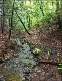  ?? PHOTO PROVIDED ?? A look at some of the Dewey Loeffel Toxic Landfill site in the Town of Nassau.