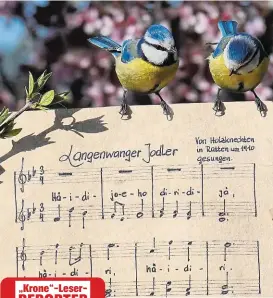  ??  ?? Musikalisc­h: Neugierige Piepmätze werfen Blick auf Jodler – eingefange­n von „Krone“-Leserrepor­ter.
