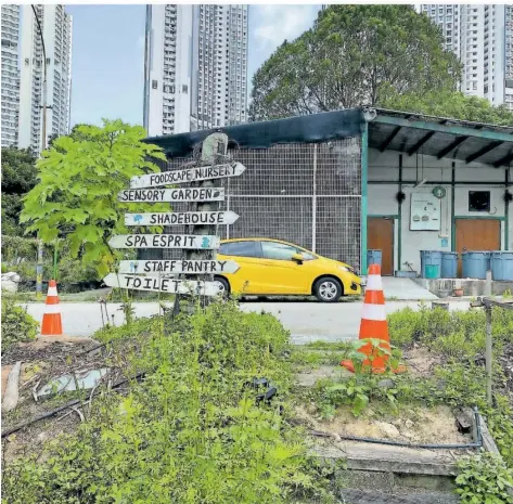  ?? FOTOS: MICHAEL MAREK ?? Edible Garden City in Singapur ist ein Musterbeis­piel des Urban Gardening.