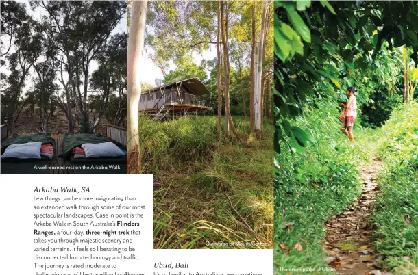  ??  ?? A well-earned rest on the Arkaba Walk. Glamping at Mount Cotton. The green paths of Ubud.