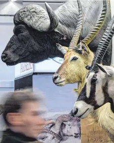  ?? FOTO: FEDERICO GAMBARINI/DPA ?? Besucher bei der Messe „Jagd und Hund“in Dortmund: Die Trophäenja­gd steht in der Kritik.