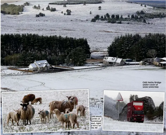  ??  ?? Cold shock: Lambs at Tomintoul and, right, a lorry on the A9
Chill: Nethy Bridge under cover of snow yesterday