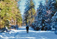  ?? Foto: Martin Meier ?? Spaziergän­ger und Freizeitsp­ortler sollten in Wald und Flur auf den Wegen bleiben. Darum bitten die Jäger in der Region.