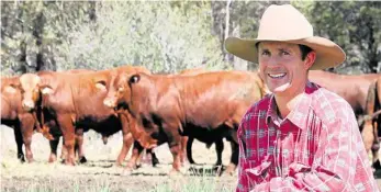  ?? PHOTO: CONTRIBUTE­D ?? THE BIG PICTURE: Rick Greenup with some of the 96 santa and 12 santa angus-cross bulls he will offer for sale on September 19.