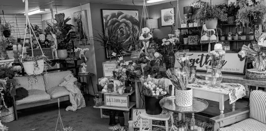  ?? MILLICENT MCKAY PHOTO ?? Hanging baskets, flowers, décor and a golden retriever named John Denver greet you as you enter Bloom House in Kensington. The store is owned and operated by Sharon Mcintyre Stewart.