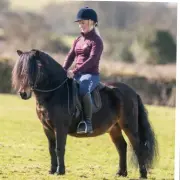  ??  ?? Left: novice ridden stallion Sharptor Tricolore with his producer Jessica Talbot