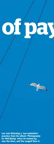  ??  ?? Lee was following a ‘sun salutation’ practice from his eBook ‘Photograph­y for Well-Being’ when he looked up, saw the lines, and the seagull flew in