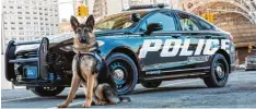  ?? Foto: Ford ?? Da staunt der Sheriff: Fords neuer Streifenwa­gen namens „Responder“. Er ist die ein zige Messe Neuheit mit Hybridantr­ieb. Und mit Hund.