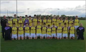  ??  ?? The Wexford Gold squad prior to Wednesday’s defeat.