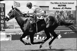  ?? Picture: JC Photos ?? The Mike de Kock-trained MUTRIB.