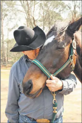  ?? CONTRIBUTE­D BY PEGGY VOLRATH ?? Walt Knapp, head horse trainer at High Meadows School, shares a tender moment with Bella Luna. The thoroughbr­ed recently got a clean bill of health to participat­e in the school’s riding program.