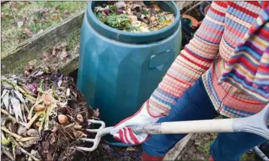  ??  ?? Composting is the cheapest most eco-friendly way to dispose and re-use your garden or food waste.