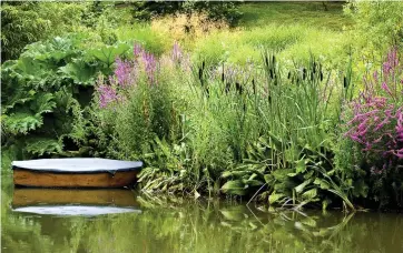  ??  ?? Delightful: Water-loving plants such as bulrushes look impressive beside ponds