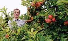  ?? RP-FOTO: D. JANICKI ?? Landwirt Peter Huber ist mit dem Ertrag seiner Apfelbäume in diesem Jahr sehr zufrieden.