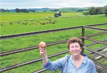  ?? PHOTO: RICHARD DAVISON ?? Apple of her eye . . . Owaka Going Forward chairwoman Aileen Clarke has plans to establish a heritage apple orchard on council land behind the town’s stockyards.