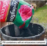  ?? ?? Fill containers will an ericaceous compost